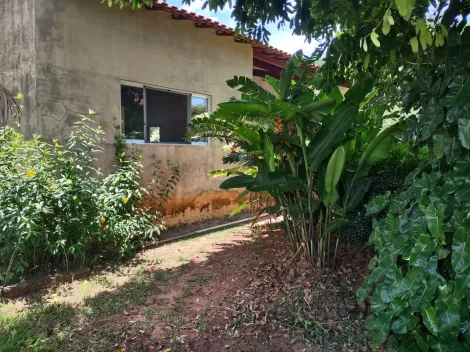 Comprar Rural / Ch&aacute;cara em Cedral R$ 530.000,00 - Foto 81