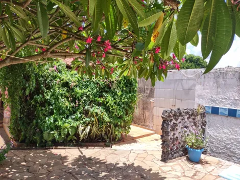 Comprar Rural / Ch&aacute;cara em Cedral R$ 530.000,00 - Foto 82