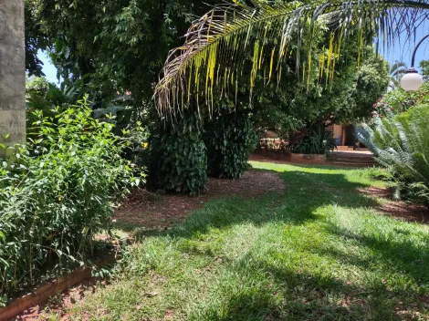 Comprar Rural / Ch&aacute;cara em Cedral R$ 530.000,00 - Foto 86