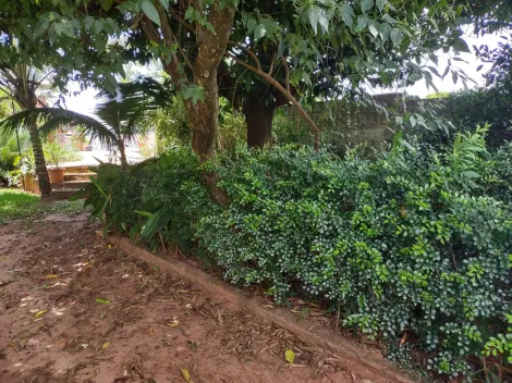 Comprar Rural / Ch&aacute;cara em Cedral R$ 530.000,00 - Foto 88