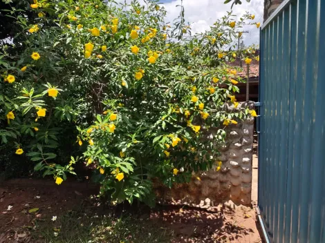 Comprar Rural / Ch&aacute;cara em Cedral R$ 530.000,00 - Foto 89