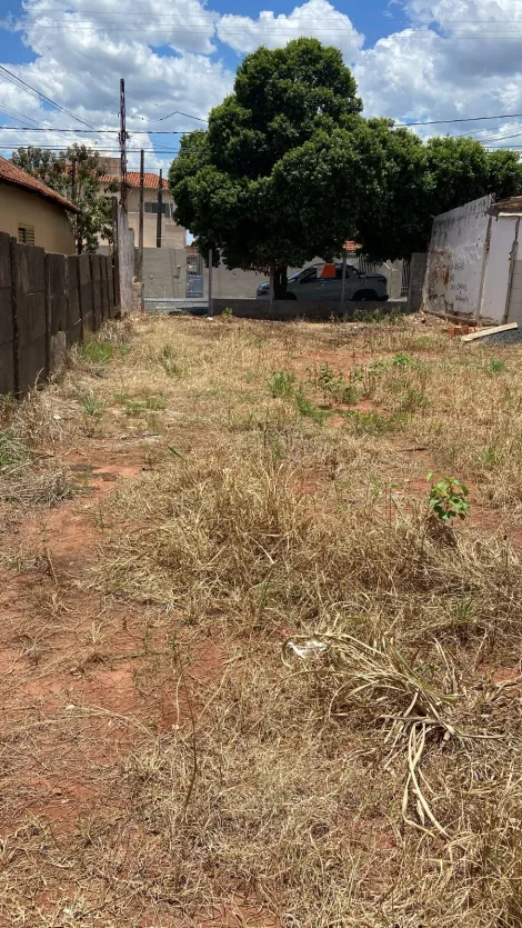 Comprar Terreno / Padr&atilde;o em S&atilde;o Jos&eacute; do Rio Preto R$ 330.000,00 - Foto 6