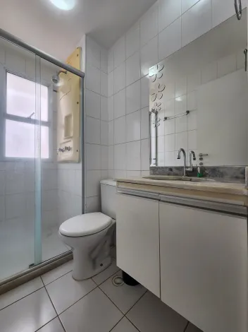 Alugar Apartamento / Padr&atilde;o em S&atilde;o Jos&eacute; do Rio Preto R$ 2.800,00 - Foto 11