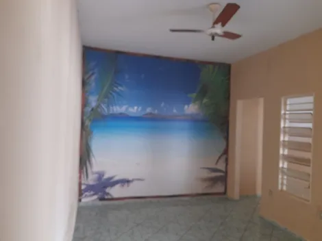 Alugar Casa / Padr&atilde;o em S&atilde;o Jos&eacute; do Rio Preto R$ 600,00 - Foto 12