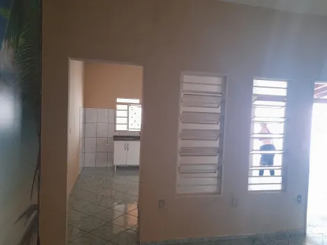 Alugar Casa / Padr&atilde;o em S&atilde;o Jos&eacute; do Rio Preto R$ 600,00 - Foto 13
