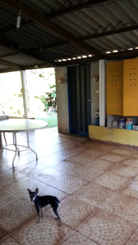 Comprar Rural / Ch&aacute;cara em S&atilde;o Jos&eacute; do Rio Preto R$ 400.000,00 - Foto 5