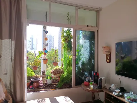 Comprar Apartamento / Padr&atilde;o em S&atilde;o Jos&eacute; do Rio Preto R$ 430.000,00 - Foto 2