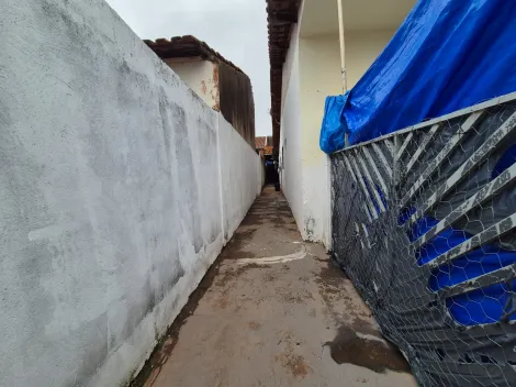 Alugar Casa / Padr&atilde;o em S&atilde;o Jos&eacute; do Rio Preto R$ 600,00 - Foto 11