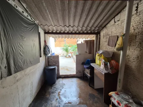 Alugar Casa / Padr&atilde;o em S&atilde;o Jos&eacute; do Rio Preto R$ 600,00 - Foto 8