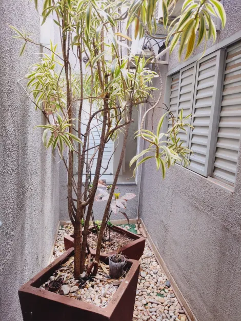 Alugar Comercial / Casa Comercial em S&atilde;o Jos&eacute; do Rio Preto R$ 4.500,00 - Foto 20