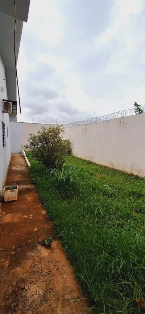 Alugar Casa / Padr&atilde;o em S&atilde;o Jos&eacute; do Rio Preto R$ 2.500,00 - Foto 23