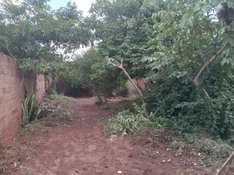 Comprar Terreno / Padr&atilde;o em S&atilde;o Jos&eacute; do Rio Preto R$ 85.000,00 - Foto 4