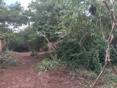Comprar Terreno / Padr&atilde;o em S&atilde;o Jos&eacute; do Rio Preto R$ 85.000,00 - Foto 5
