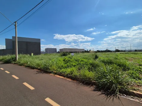 Terreno / Padr&atilde;o em S&atilde;o Jos&eacute; do Rio Preto 