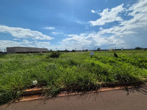 Comprar Terreno / Padr&atilde;o em S&atilde;o Jos&eacute; do Rio Preto R$ 670.000,00 - Foto 2