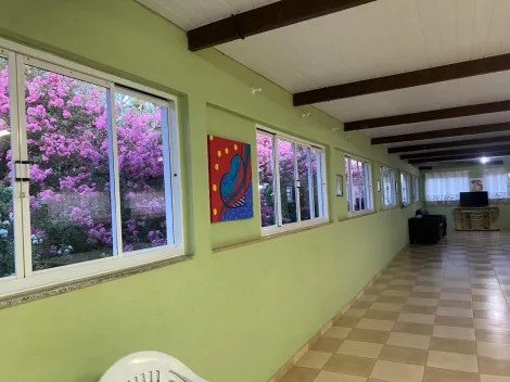 Comprar Rural / Ch&aacute;cara em Cedral R$ 1.800.000,00 - Foto 3
