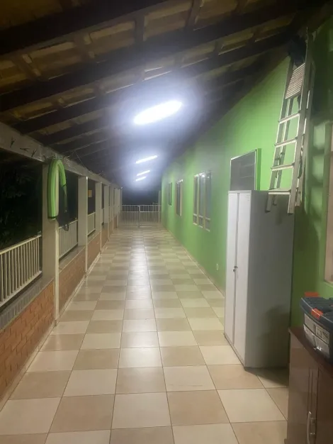 Comprar Rural / Ch&aacute;cara em Cedral R$ 1.800.000,00 - Foto 4