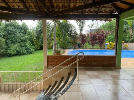 Comprar Rural / Ch&aacute;cara em Cedral R$ 1.800.000,00 - Foto 8
