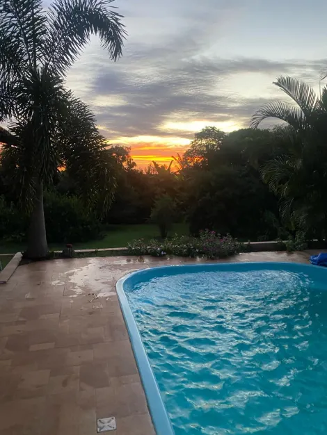 Comprar Rural / Ch&aacute;cara em Cedral R$ 1.800.000,00 - Foto 10