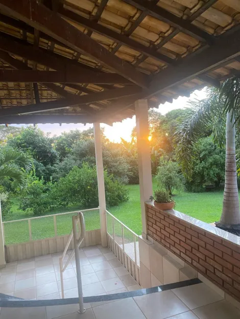 Comprar Rural / Ch&aacute;cara em Cedral R$ 1.800.000,00 - Foto 11