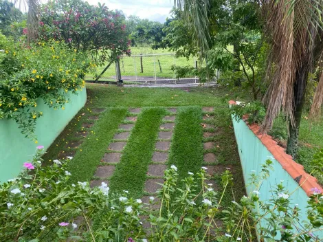 Comprar Rural / Ch&aacute;cara em Cedral R$ 1.800.000,00 - Foto 12