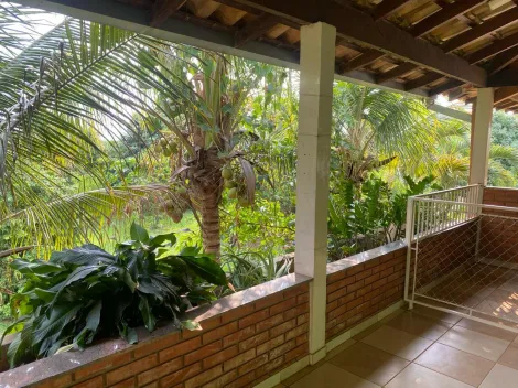 Comprar Rural / Ch&aacute;cara em Cedral R$ 1.800.000,00 - Foto 14