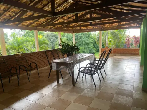 Comprar Rural / Ch&aacute;cara em Cedral R$ 1.800.000,00 - Foto 15