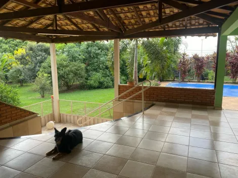Comprar Rural / Ch&aacute;cara em Cedral R$ 1.800.000,00 - Foto 18
