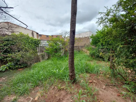 Terreno / Padr&atilde;o em S&atilde;o Jos&eacute; do Rio Preto 