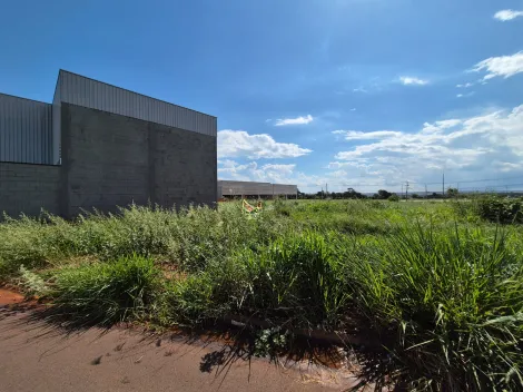 Terreno / Padr&atilde;o em S&atilde;o Jos&eacute; do Rio Preto 