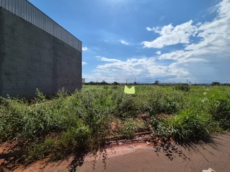 Comprar Terreno / Padr&atilde;o em S&atilde;o Jos&eacute; do Rio Preto R$ 782.000,00 - Foto 2
