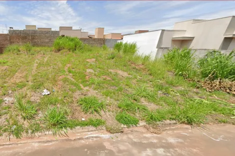 Terreno / Padr&atilde;o em Cedral 