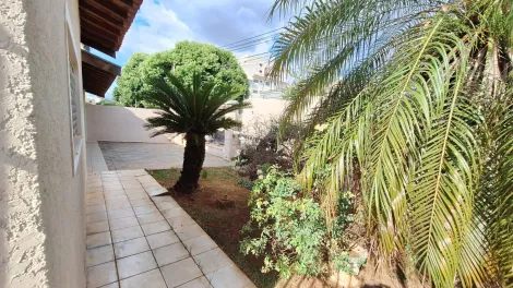 Alugar Casa / Padr&atilde;o em S&atilde;o Jos&eacute; do Rio Preto R$ 3.500,00 - Foto 12