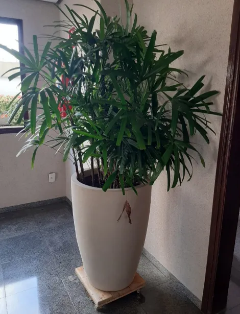 Comprar Apartamento / Padr&atilde;o em S&atilde;o Jos&eacute; do Rio Preto R$ 420.000,00 - Foto 12