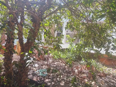 Alugar Casa / Padr&atilde;o em S&atilde;o Jos&eacute; do Rio Preto R$ 1.900,00 - Foto 28