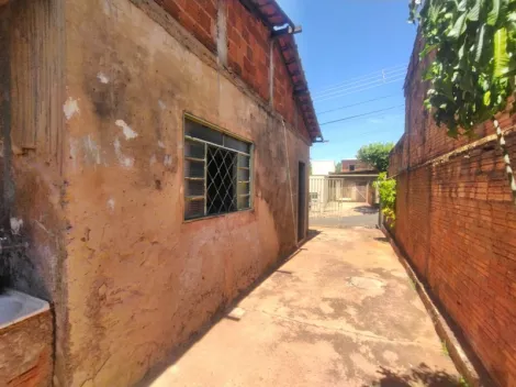 Alugar Casa / Padr&atilde;o em S&atilde;o Jos&eacute; do Rio Preto R$ 1.100,00 - Foto 14