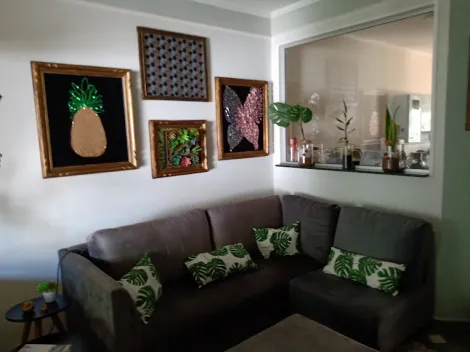 Comprar Casa / Padr&atilde;o em S&atilde;o Jos&eacute; do Rio Preto R$ 530.000,00 - Foto 10