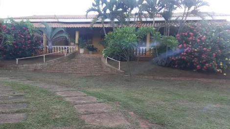 Rural / Ch&aacute;cara em Cedral 