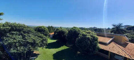 Comprar Rural / Ch&aacute;cara em Cedral R$ 1.050.000,00 - Foto 8