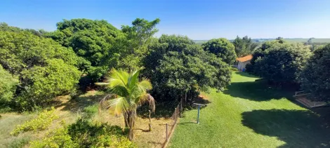 Comprar Rural / Ch&aacute;cara em Cedral R$ 1.050.000,00 - Foto 9