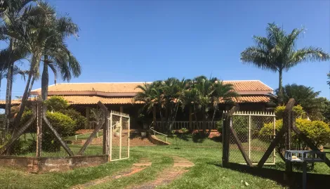 Comprar Rural / Ch&aacute;cara em Cedral R$ 1.050.000,00 - Foto 11