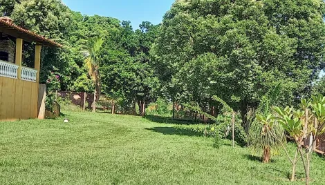 Comprar Rural / Ch&aacute;cara em Cedral R$ 1.050.000,00 - Foto 10