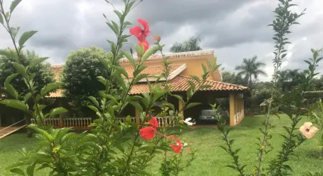Comprar Rural / Ch&aacute;cara em Cedral R$ 1.050.000,00 - Foto 12
