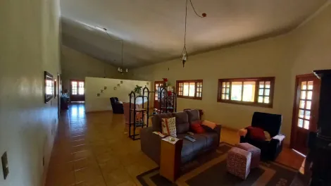 Comprar Rural / Ch&aacute;cara em Cedral R$ 1.050.000,00 - Foto 17