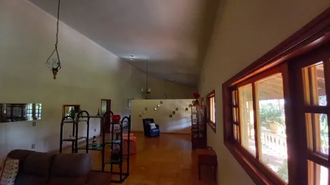 Comprar Rural / Ch&aacute;cara em Cedral R$ 1.050.000,00 - Foto 19
