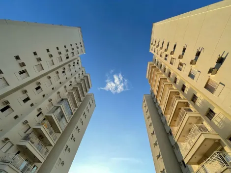 Alugar Apartamento / Padr&atilde;o em S&atilde;o Jos&eacute; do Rio Preto R$ 2.500,00 - Foto 16