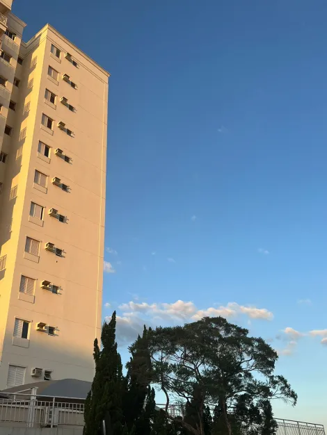 Alugar Apartamento / Padr&atilde;o em S&atilde;o Jos&eacute; do Rio Preto R$ 2.500,00 - Foto 18