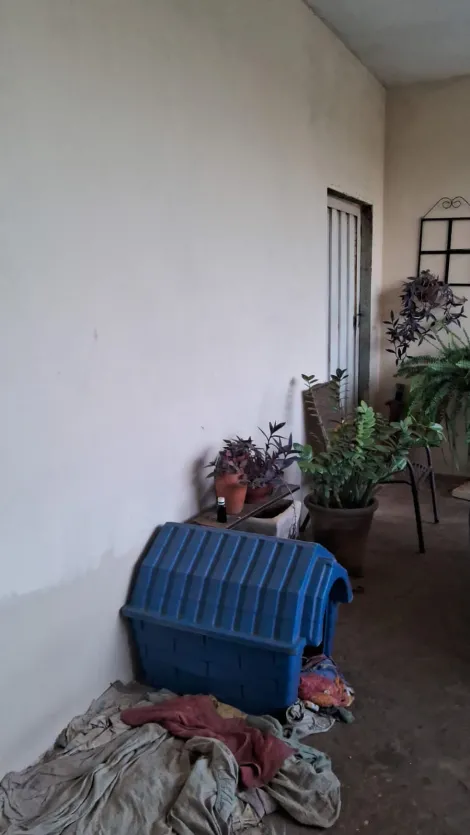 Comprar Casa / Padr&atilde;o em Bady Bassitt R$ 200.000,00 - Foto 8