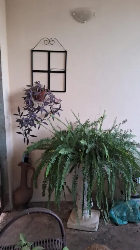 Comprar Casa / Padr&atilde;o em Bady Bassitt R$ 200.000,00 - Foto 12