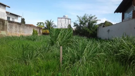 Comprar Terreno / Padr&atilde;o em S&atilde;o Jos&eacute; do Rio Preto R$ 1.117.000,00 - Foto 6